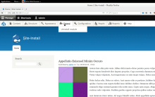 Fast Drupal with Vagrant Scotch Box